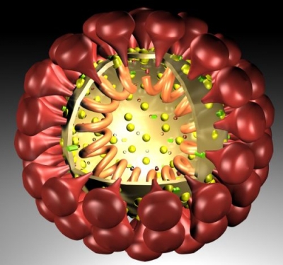 30 препаратов помогают при лечении коронавируса — Онищенко