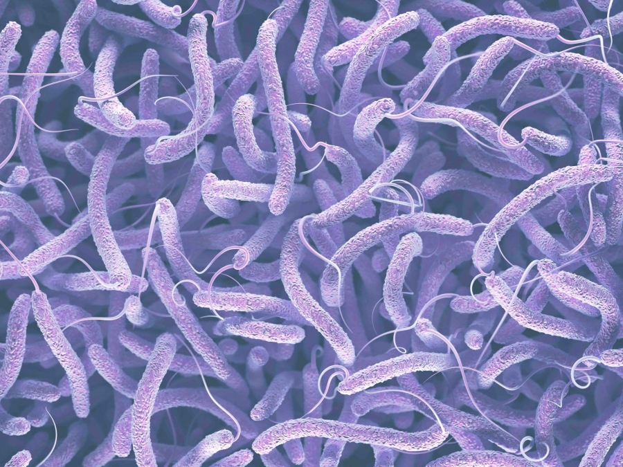 Ученые впервые увидели, как бактерии получают устойчивость к антибиотикам