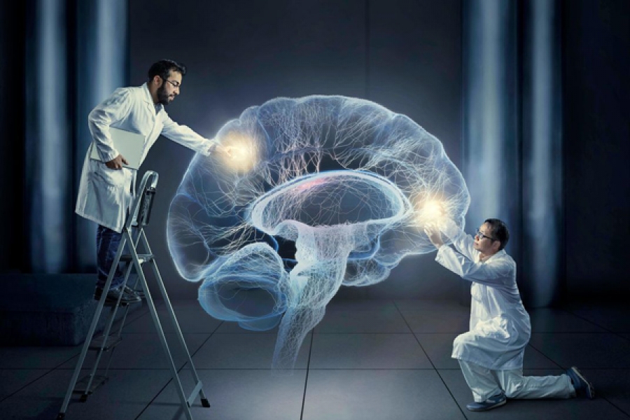 Ученые научились «отключать» в мозге вредные привычки и зависимости