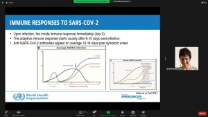 Иммунный ответ против SARS-CoV-2 и исследования серологической распространенности